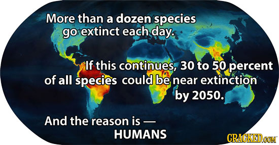 More than a dozen species go extinct each. day. If this continues, 30 to 50 percent of all species could be near extinction by 2050. And the reason is