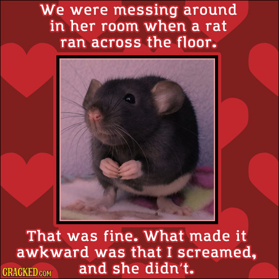 We were messing around in her room when a rat ran across the floor. That was fine. What made it awkward was that I screamed, and she didn't. CRACKED C