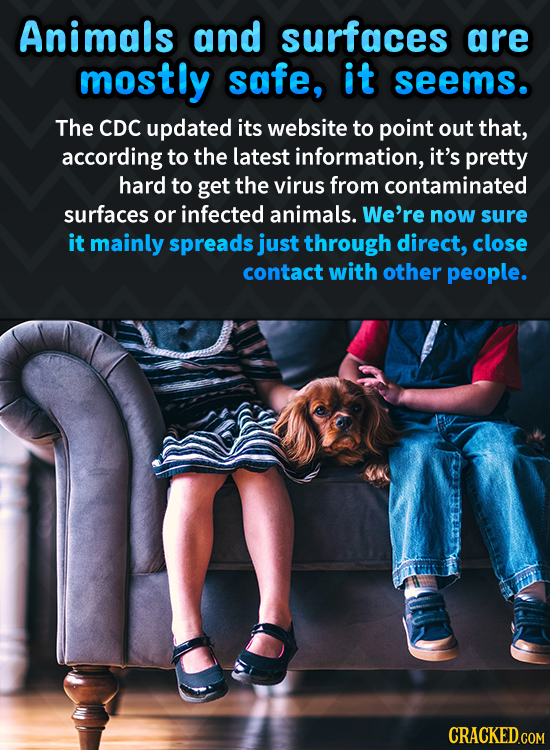 Animals and surfaces are mostly safe, it seems. The CDC updated its website to point out that, according to the latest information, it's pretty hard t