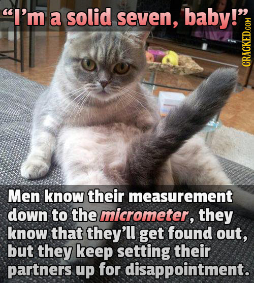 I'm a solid seven, baby!' GRAU Men know their measurement down to the micrometer, they know that they'll get found out, but they keep setting their