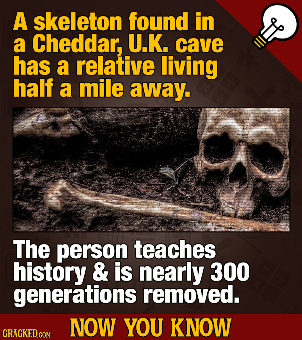 A skeleton found in a Cheddar, U.K. cave has a relative living half a mile away. The person teaches history & is nearly 300 generations removed. NOW Y