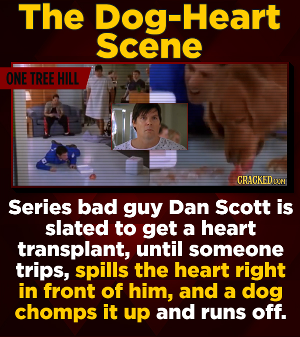 The Dog-Heart Scene ONE TREE HILL CRACKED CO Series bad guy Dan Scott is slated to get a heart transplant, until someone trips, spills the heart right