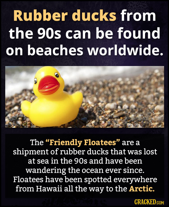 Rubber ducks from the 90s can be found on beaches worldwide. The Friendly Floatees are a shipment of rubber ducks that was lost at sea in the 90s an