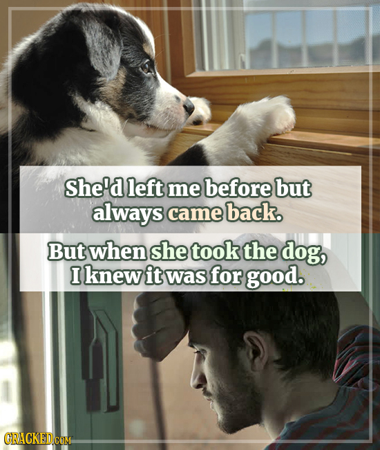 She'd left me before but always came back. But when she took the dog, I knew it was for good.