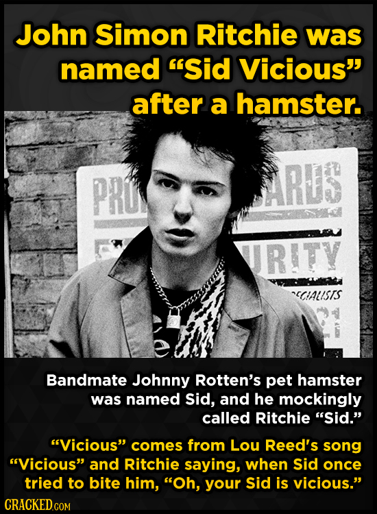 John Simon Ritchie was named Sid Vicious after a hamster. PRU ARUS JRITY CCALISTS Bandmate Johnny Rotten's pet hamster was named Sid, and he mocking