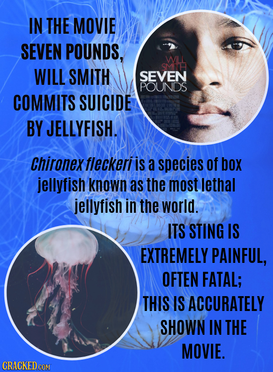 IN THE MOVIE SEVEN POUNDS, WILL WILL SMTH SMITH SEVEN POUNDS COMMITS SUICIDE BY JELLYFISH. Chironex fleckeri is a species of box jellyfish known as th