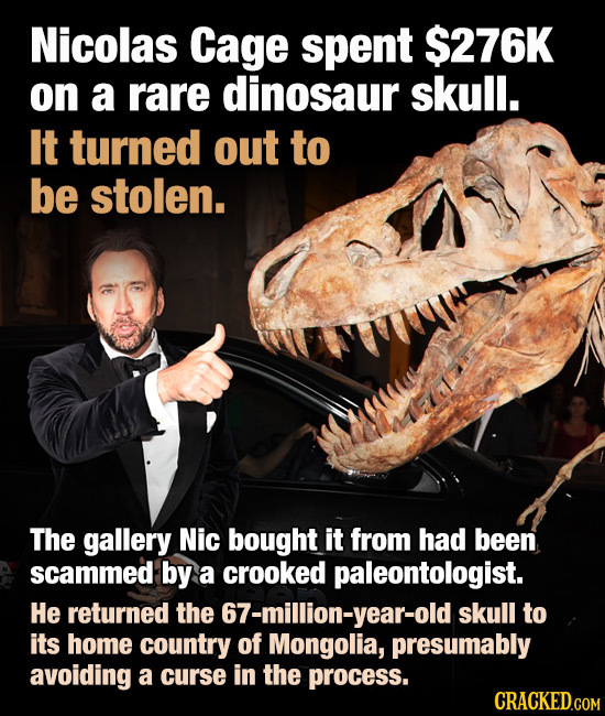 Nicolas Cage spent $276K on a rare dinosaur skull. It turned out to be stolen. The gallery Nic bought it from had been scammed by a crooked paleontolo