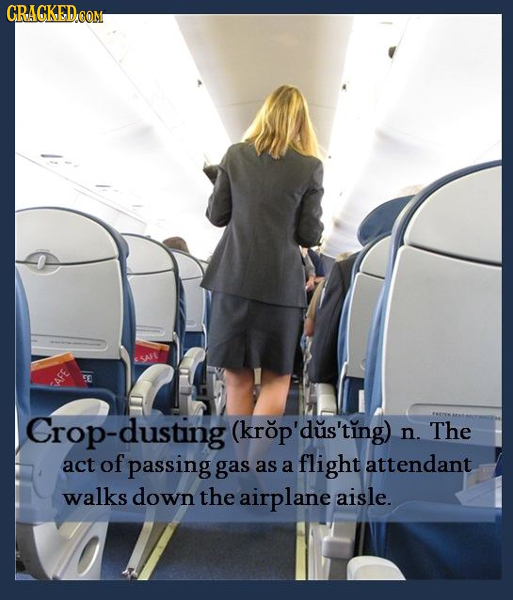 CRACKEDOOM Crop-dusting (krop'dus'ting) n. The act of passing gas as a flight attendant walks down the airplane aisle.