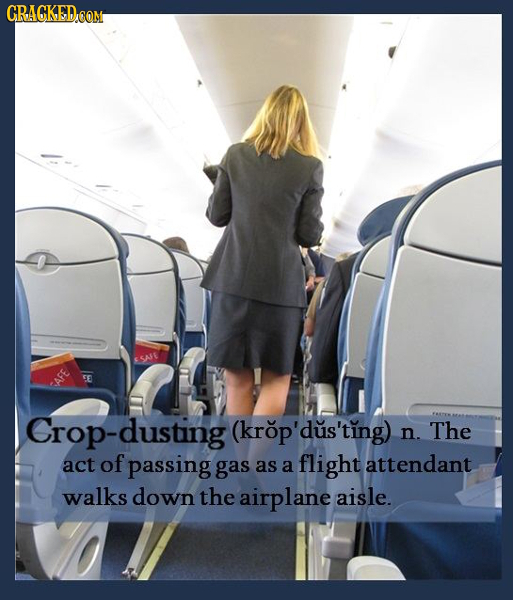 CRACKEDOOM Crop-dusting (krop'dus'ting) n. The act of passing gas as a flight attendant walks down the airplane aisle. 