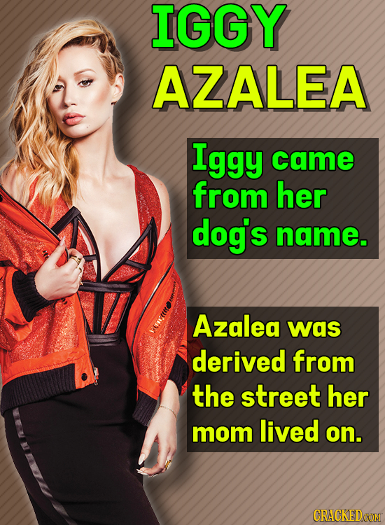 IGGY AZALEA Iggy came from her dog's name. Azalea was derived from the street her mom lived on.