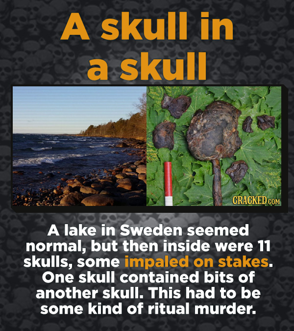 Creepy Discoveries That People Stumbled Into - A lake in Sweden seemed normal, but then inside were 11 skulls, some impaled on stakes. One skull conta
