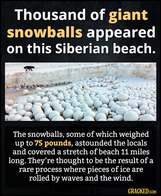 Thousand of giant snowballs appeared on this Siberian beach. The snowballs, some of which weighed up to 75 pounds, astounded the locals and covered a
