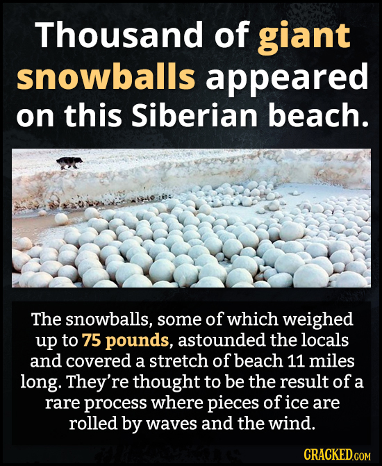 Thousand of giant snowballs appeared on this Siberian beach. The snowballs, some of which weighed up to 75 pounds, astounded the locals and covered a 