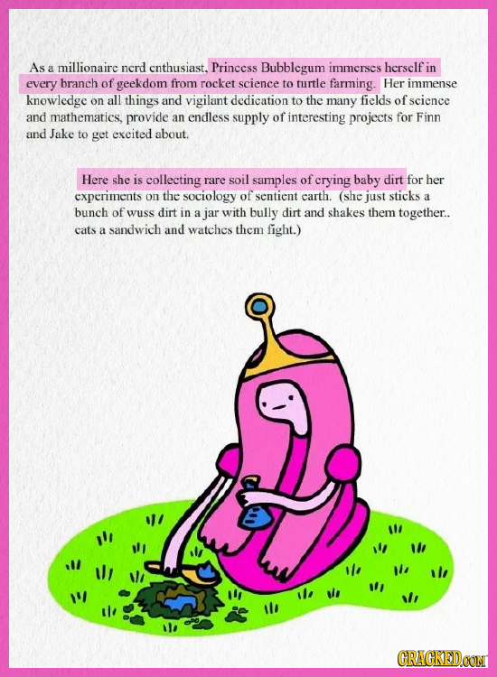 As Princess a millionairc nerd cnthusiast. Bubblegum immerscs hersclf in every branch of geekdom from rocket science to turtle farming. Her immense kn