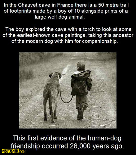 In the Chauvet cave in France there is a 50 metre trail of footprints made by a boy of 10 alongside prints of a large wolf-dog animal. The boy explore