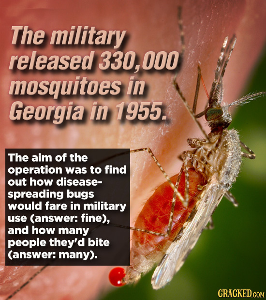 The military released 330, 000 mosquitoes in Georgia in 1955. The aim of the operation was to find out how disease- spreading bugs would fare in milit