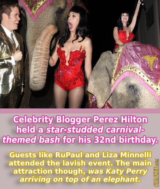 Celebrity Blogger Perez Hilton held a star-studded carnivalb themed bash for his 32nd birthday. Guests like RuPaul and Liza Minnelli attended the lavi