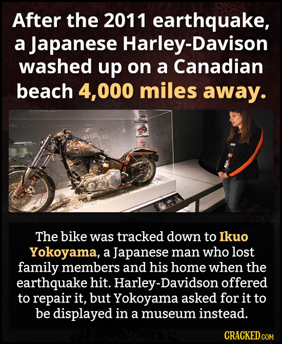After the 2011 earthquake, a Japanese Harley-Davison washed up on a Canadian beach 4,000 miles away. The bike was tracked down to Ikuo Yokoyama, a Jap