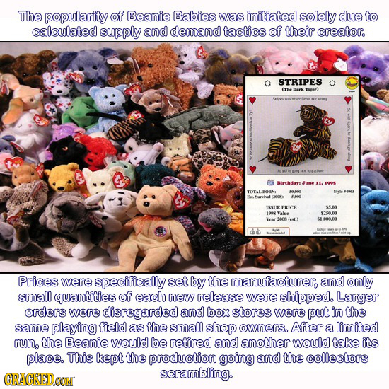The popularity of Beanie Babies was initiated solely due to calculated supply and demand tactics of their creator. STRIPES (Thee Dok TIea) Birthdays I