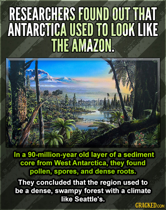 RESEARCHERS FOUND OUT THAT ANTARCTICA USED TO LOOK LIKE THE AMAZON. In a 90-million-year old layer of a sediment core from West Antarctica, they found