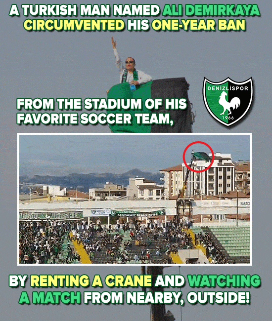 24 Times Fans Completely And Utterly Lost Their Minds