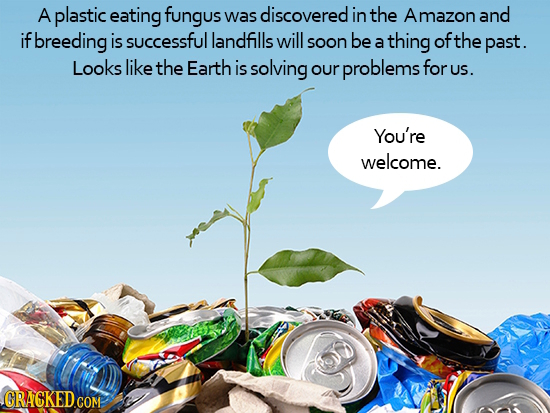 A plastic eating fungus was discovered in the Amazon and if breeding is successful landfills will soon be thing ofthe a past. Looks like the Earth is