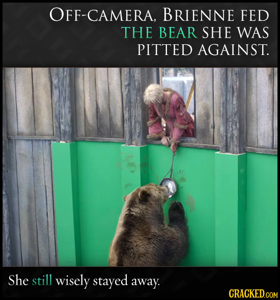 CAMERA, BRIENNE FED THE BEAR SHE WAS PITTED AGAINST. She still wisely stayed away. CRACKED.COM 