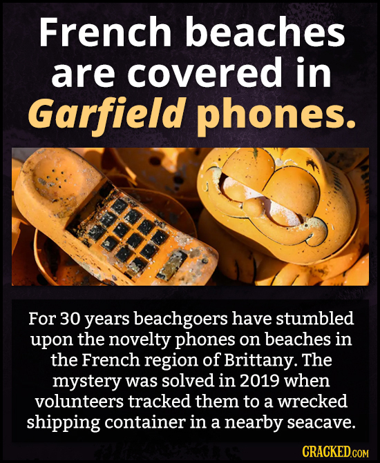 French beaches are covered in Garfield phones. For 30 years beachgoers have stumbled upon the novelty phones on beaches in the French region of Britta