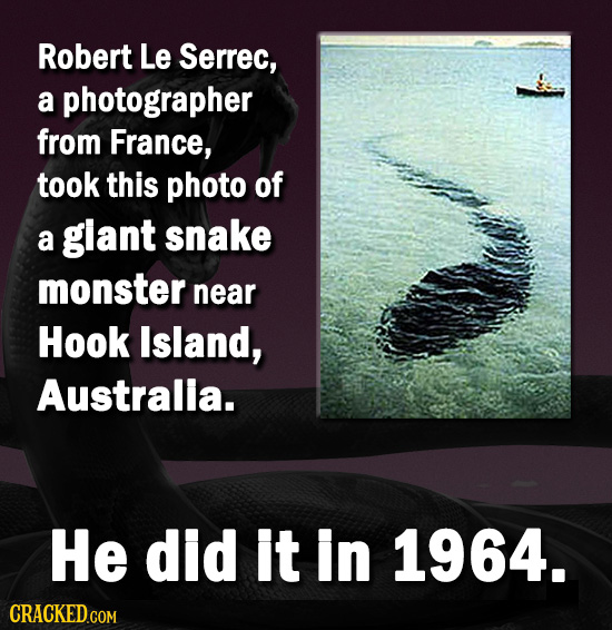Robert Le Serrec, a photographer from France, took this photo of a glant snake monster near Hook Island, Australla. He did it In 1964.