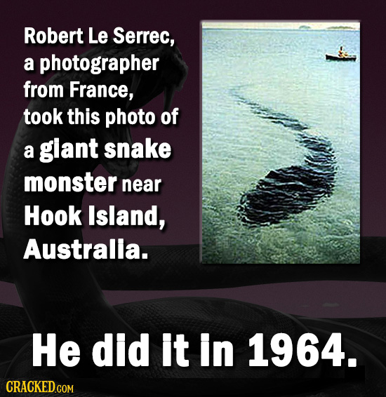 Robert Le Serrec, a photographer from France, took this photo of a glant snake monster near Hook Island, Australla. He did it In 1964. 