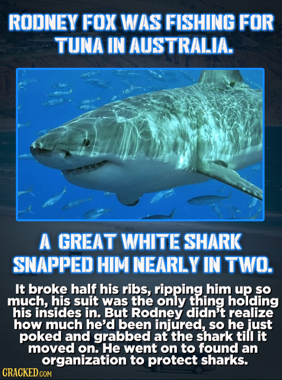 RODNEY FOX WAS FISHING FOR TUNA IN AUSTRALIA. A GREAT WHITE SHARK SNAPPED HIM NEARLY IN TWO. It broke half his ribs, ripping him up so much, his suit