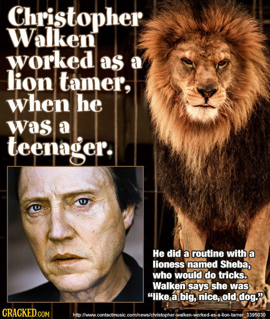 Christopher Walken worked as a lion tamer, when he was a teenager. He did a routine with a lioness named Sheba, who would do tricks. Walken says she w