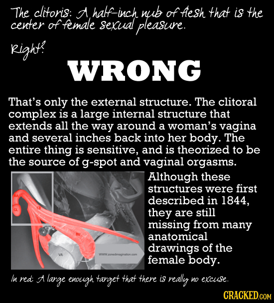 The clitoris: A halfinc wub of Aesh that is the center of female sexual pleasure. Right WRONG That's only the external structure. The clitoral complex