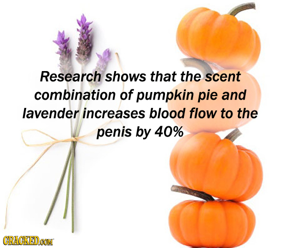 Research shows that the scent combination of pumpkin pie and lavender increases blood flow to the penis by 40% CRACKEDCON 