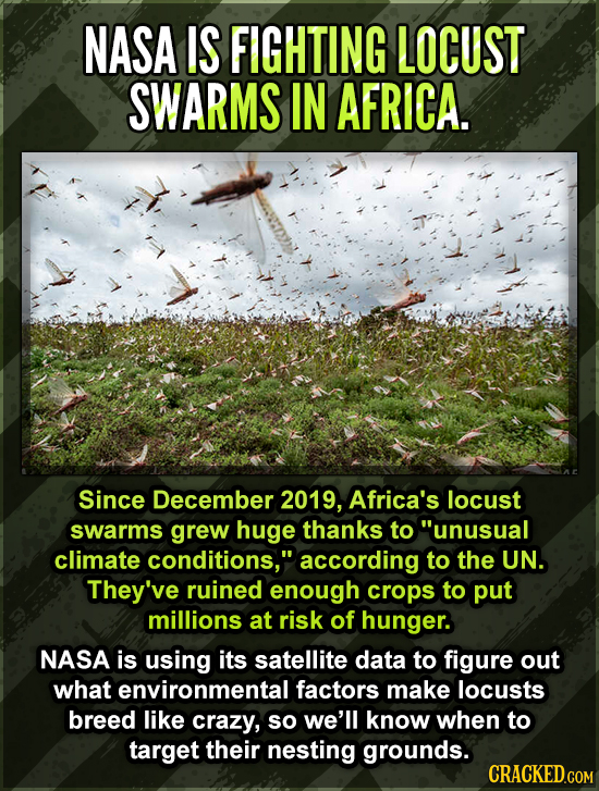 NASA IS FIGHTING LOCUST SWARMS IN AFRICA. Since December 2019, Africa's locust swarms grew huge thanks to unusual climate conditions, according to t
