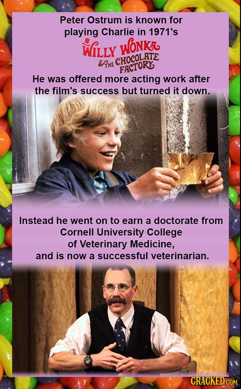 Peter Ostrum is known for playing Charlie in 1971's Wily WONK EHE CHOCOLAT FACTORY He was offered more acting work after the film's success but turned
