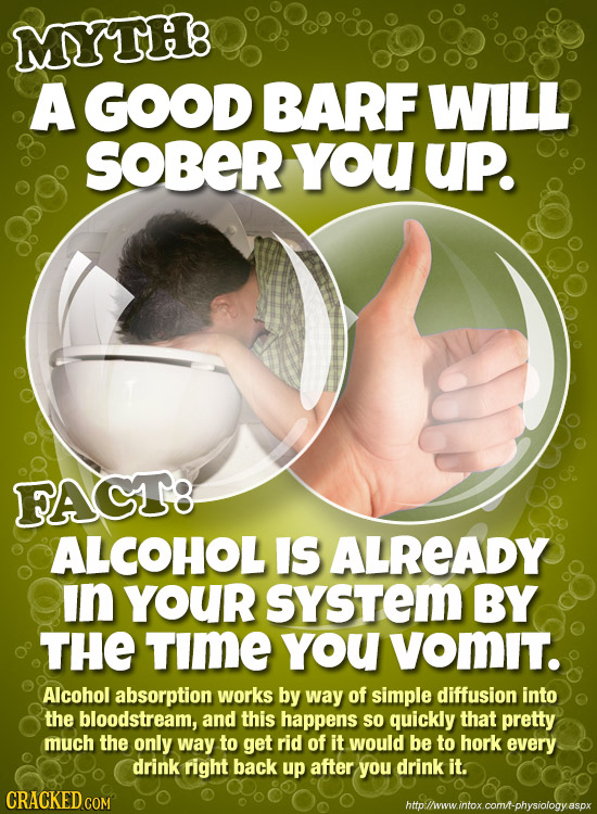 MYTH8: A GOOD BARF WILL SOBER you UP. FACTE ALCOHOL IS ALREADY In your sYSTem BY THE TIME YoU vomIT. Alcohol absorption works by way of simple diffusi