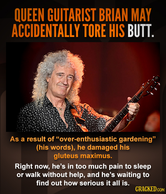 QUEEN GUITARIST BRIAN MAY ACCIDENTALLY TORE HIS BUTT. As a result of over-enthusiastic gardening (his words), he damaged his gluteus maximus. Right