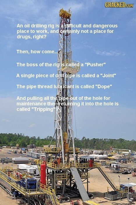 34 Code Words Insiders Use