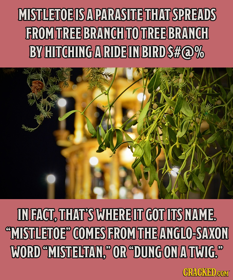 19 Christmas Traditions With A Surprising History