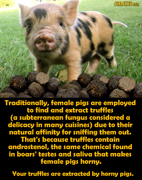 17 Disturbing Facts About Food We'd Bet Anything You Didn't Know