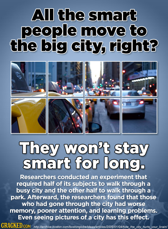 AIl the smart people move to the big city, right? They won't stay smart for long. Researchers conducted an experiment that required half of its subjec