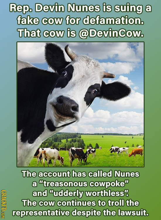Rep. Devin Nunes is suing a fake cOw for defamation. That cOw is @DevinCow. The account has called Nunes a treasonous cowpoke CGRACKEDCDN and udder
