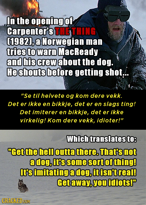 In the opening of Carpenter's THE THING (1982), a Norwegian man tries to warn MacReady and his crew about the dog. He shouts before getting shot... S