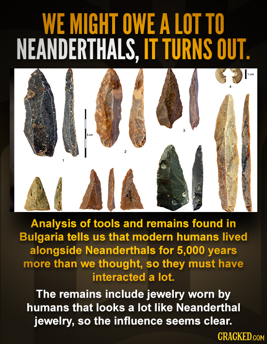 WE MIGHT OWE A LOT TO NEANDERTHALS, IT TURNS OUT. U Analysis of tools and remains found in Bulgaria tells us that modern humans lived alongside Neande