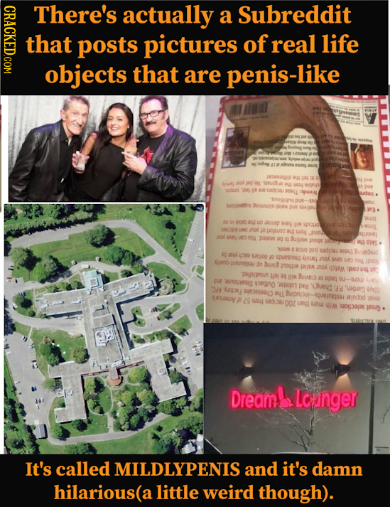 CRACE There's actually a Subreddit that posts pictures of real life objects that are penis-like r aK U aok An ara pur 30 Kaoe 'ueun ou SUUY 0 19 wO4 N
