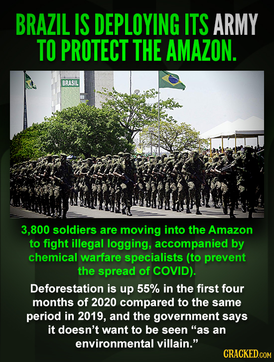 BRAZIL IS DEPLOYING ITS ARMY TO PROTECT THE AMAZON. BRASIL 3,800 soldiers are moving into the Amazon to fight illegal logging, accompanied by chemical