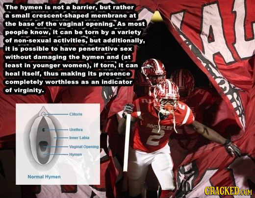 The hymen is not a barrier, but rather a small crescent-shaped membrane at the base of the vaginal opening. As most people know, it can be torn by a v