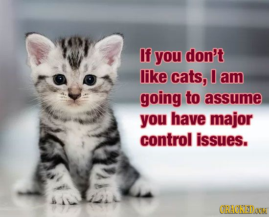 If you don't like cats, am going to assume you have major control issues. CRACKEDCON