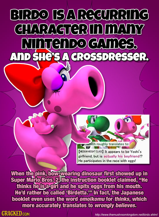 BIRDO IS BARECURRING CHARAGTERO In manY NInTENDO GAMES. AND SHE'S A CROSSDRESSER. yvhich roughly translates to: [(MEDUM WEIGHT class It appears to be 